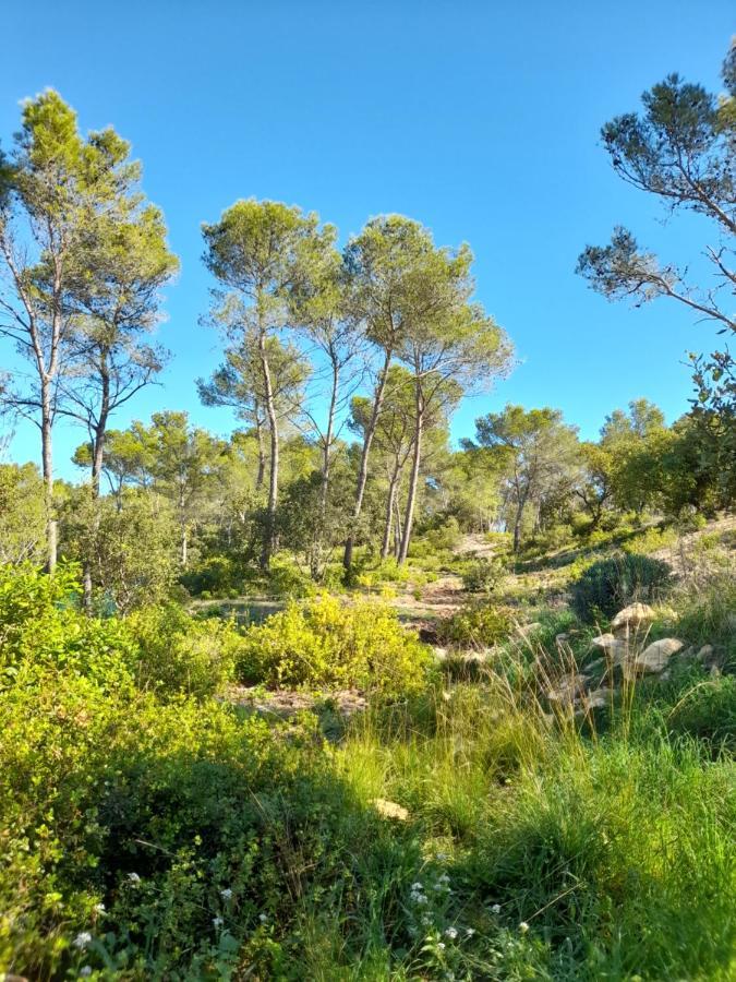 Studio Du Roc Des Garrigues Langlade Екстер'єр фото